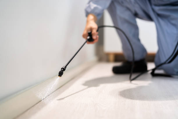 Licensed Mosquito Control service in Bonners Ferry, ID - Show Me Pest Control