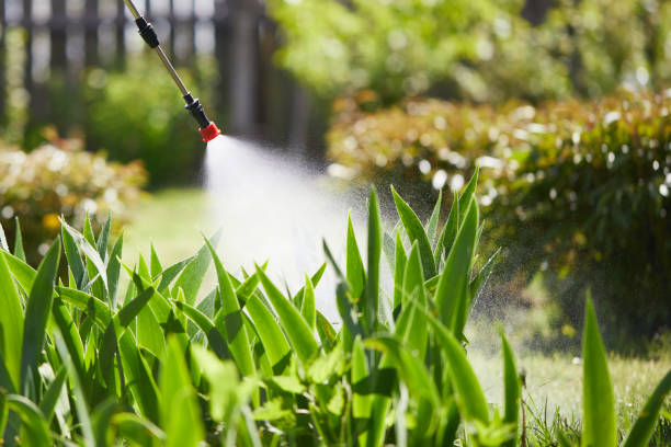 24/7 Emergency Mosquito Control experts in Bonners Ferry, ID