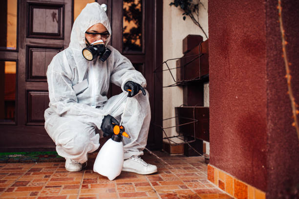 Reliable Mosquito Control contractor in Bonners Ferry, ID by Show Me Pest Control